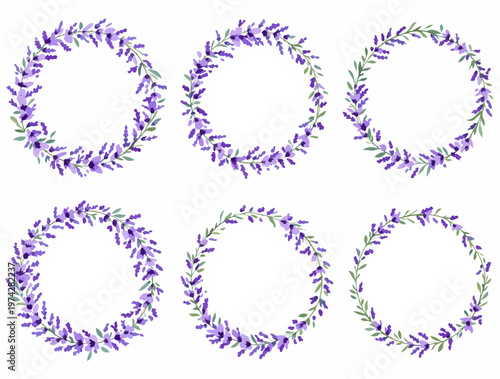 set of floral design elements