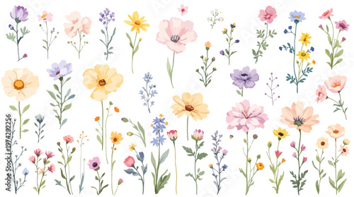 A dreamy arrangement of petals forming a calm and elegant frame