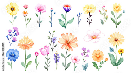 A tranquil circle of blossoms holding space for peaceful creativity