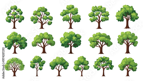 Large set of various green deciduous trees with different crown shapes and branch structures isolated on a plain white background.