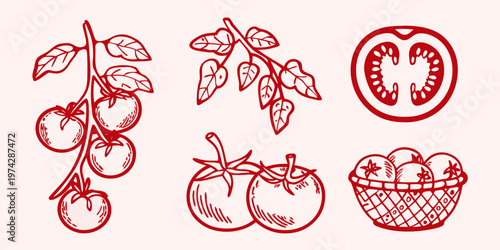 Red tomato illustrations with leaves and a basket hand drawn silhouette