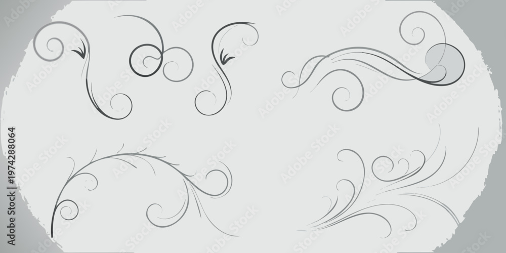Fototapeta premium Elegant gray swirls and flourishes create a decorative design element