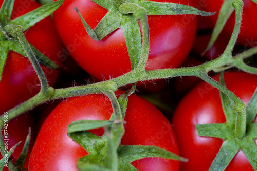 Macro shot of fresh organic cherry tomatoes on a green vine, vibrant red tomatoes background