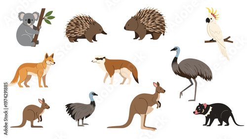 Illustrations of iconic Australian wildlife featuring a koala, kangaroo, emu, echidna, wombat, cockatoo, and Tasmanian devil.