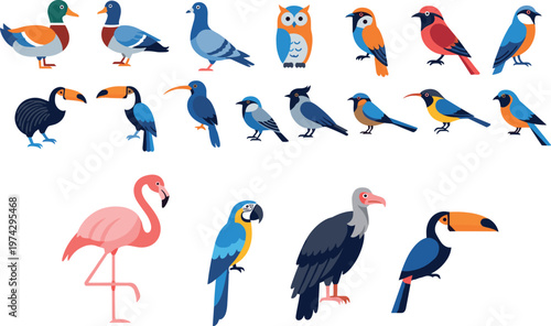 Colorful Bird Species Illustration Set Featuring Cartoon Style Wild Birds Including Flamingo Toucan Parrot Owl Duck and Forest Wildlife Collection