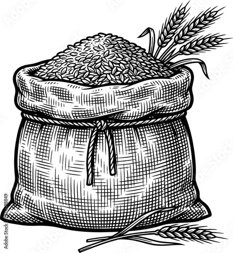 Hand-drawn illustration of a burlap sack filled with grain, with wheat ears protruding. Represents harvest, agriculture, and natural food.