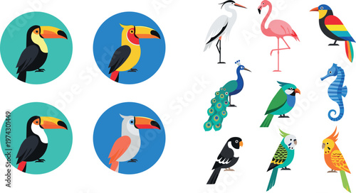 Colorful Tropical Bird Illustration Set Featuring Toucan Flamingo Peacock Parrot and Exotic Wildlife Characters in Flat Cartoon Style Design Collection