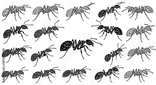Detailed illustration of multiple ants in various poses and shading on white background for design use