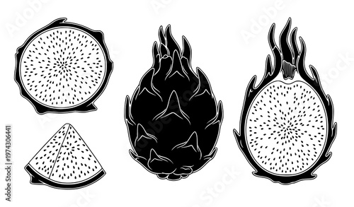 Dragon fruit vector set – black and white slices and whole fruit illustration