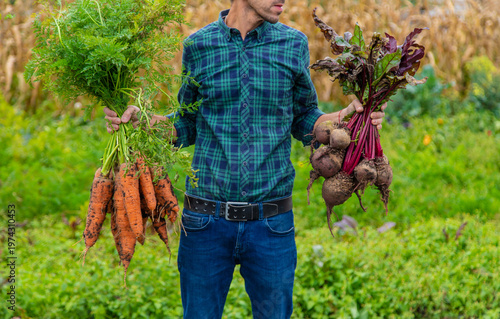 A man farmer holds a harvest of carrots and beets in his hands. Selective focus.