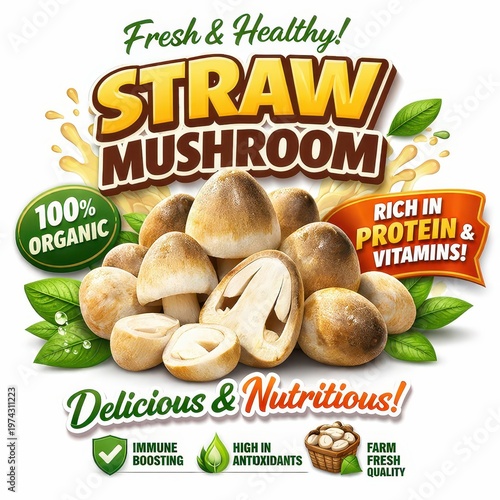 Fresh and healthy straw mushroom illustration, with organic and nutritious advertisement