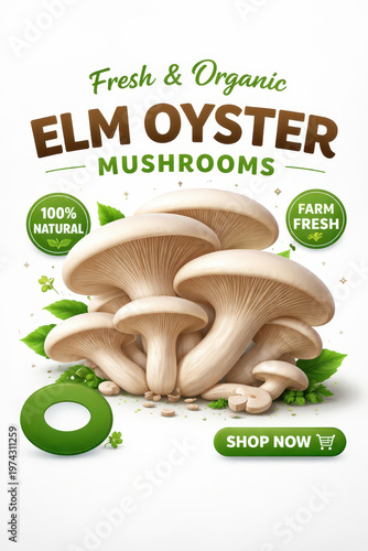 Fresh Elm Oyster mushrooms advertisement