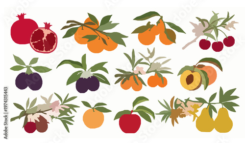 Stylized fruit tree branches with blossoms and ripe fruits in colorful botanical vector design