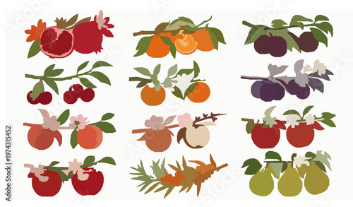 Realistic fruit tree branch collection with blossoms and ripe fruits in detailed botanical vector illustration