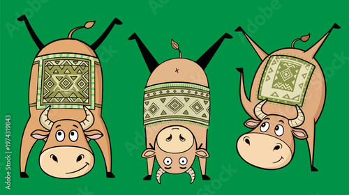 Funny cartoon cows doing handstands, set of three whimsical bull characters with ethnic pattern blankets, playful livestock vector illustration