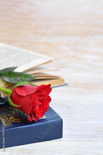 Red rose is placed elegantly on a blue book, hinting at the tradition of giving a rose to a loved one on Sant Jordi's Day.