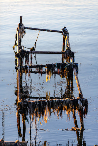 fishing nets on the dock