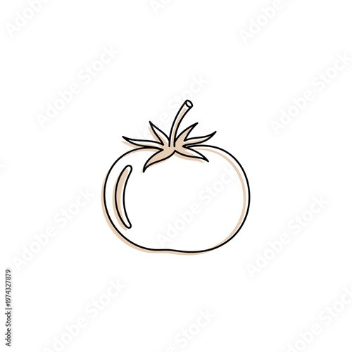 Outline of a fresh tomato in simple line art style  