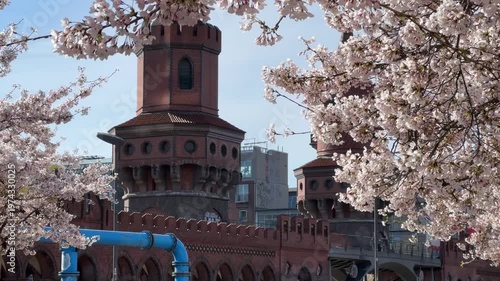 yellow Berlin U-Bahn metro train crosses the iconic red-brick Oberbaumbrücke bridge tower in spring, framed by blooming cherry blossom branches in the foreground
