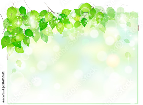 フレッシュな新緑フレーム　背景【epsデータはレイヤー別で編集しやすくなっています】