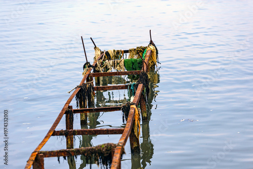 fishing nets on the dock