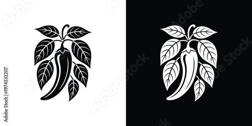 Black and white chili pepper on contrasting backgrounds