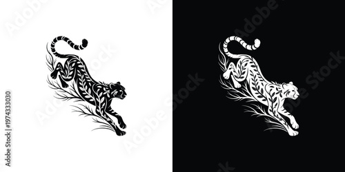 Black and white tiger on contrasting backgrounds animal