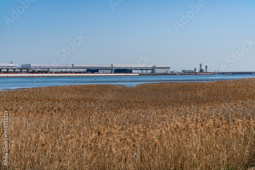 都県境を流れる多摩川の河口の風景