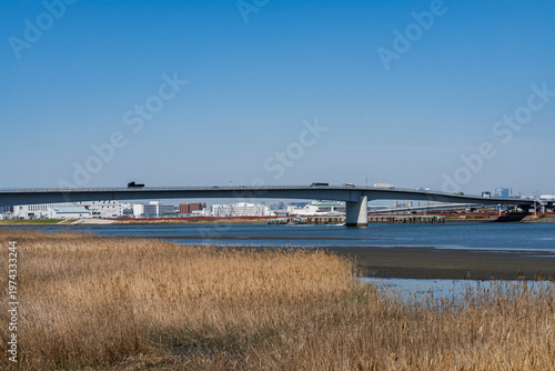 都県境を流れる多摩川の河口の風景
