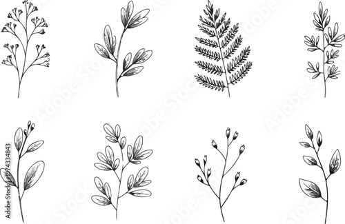 Clean vector illustration collection of floral stems leaves and branches in simple elegant line art style for decorative botanical use