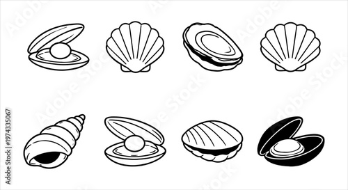 Elegant black and white vector icons of diverse seashells, mollusks, and precious pearls