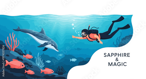 Dolphin Encounter Underwater Exploration With Diver And Marine Life