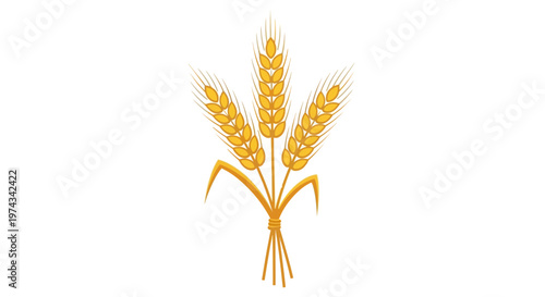 Golden Wheat Ears in Bunch.