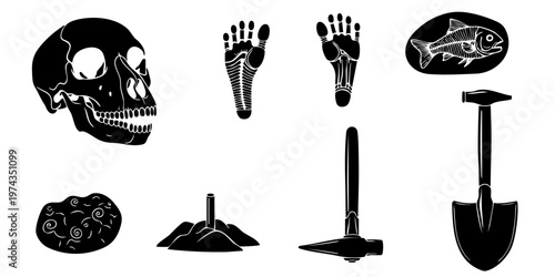 A mysterious arrangement of a skull, bones, and grave digging tools.