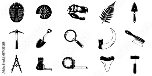 Fossils and tools are laid out for examination on a table indoors.