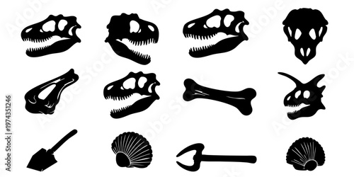 Fossilized dinosaur bones and skulls on display with excavation tools nearby indoors.