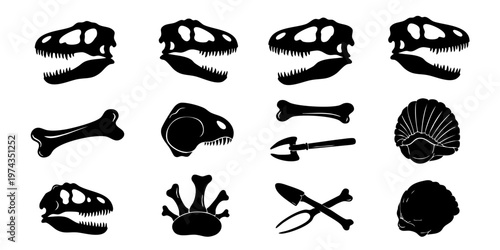 Fossilized dinosaur bones and skulls on display with excavation tools.