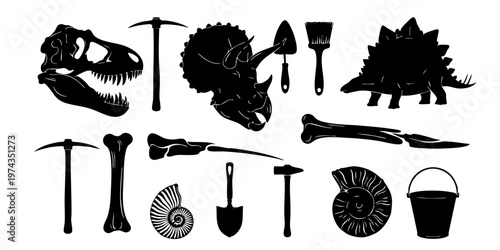 A collection of dinosaur fossils and excavation tools on a white background