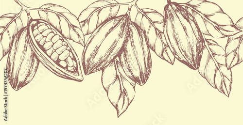 Seamless vector border with cocoa. vintage illustration in sketch style
