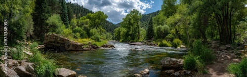 Panoramic view of a lush green forest with a flowing river and bright sunlit