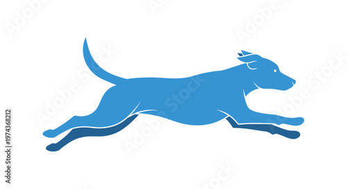 Blue dog running fast outside.