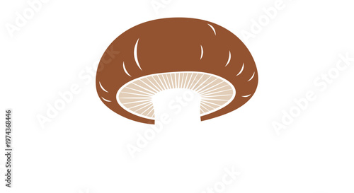 Brown Mushroom Cap with White Gills.