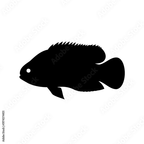 Silhouette of a freshwater fish with spiky dorsal fin swimming peacefully