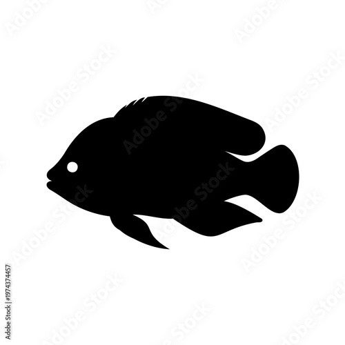 Monochrome illustration of a Tilapia fish, a common type of freshwater fish