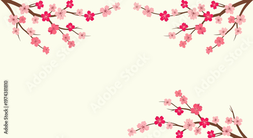 Delicate Pink Cherry Blossoms Branching Out.