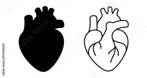 Anatomical human heart graphic icons presented as a black silhouette and an outline drawing. Vector illustration.