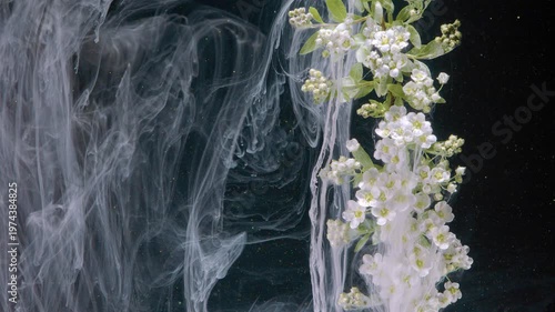 Investigating flow density in submerged tank. Analyzing interaction of flow and density in submerged ink within dark tank environment