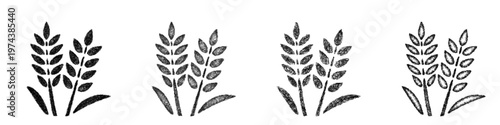 Sketch whole grains icon design set