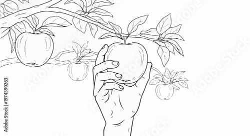 A hand plucks a ripe apple from a branch laden with fruit