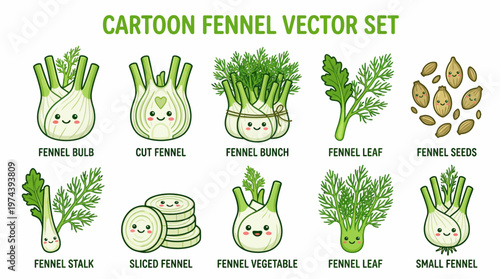 Cute cartoon fennel vector set with various cuts and seeds isolated on white background